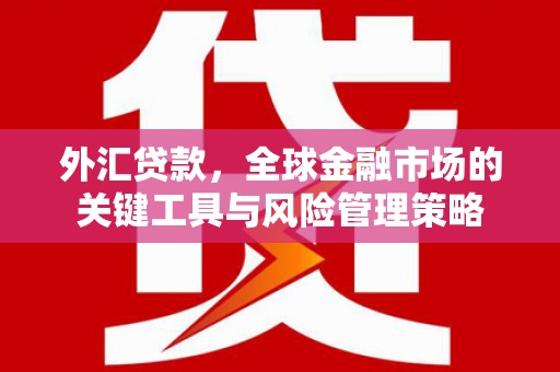 禄丰外汇贷款，全球金融市场的关键工具与风险管理策略