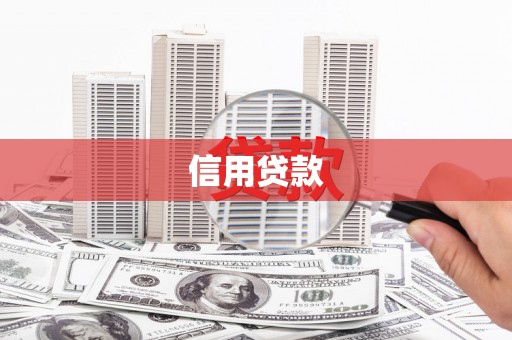 禄丰信用贷款