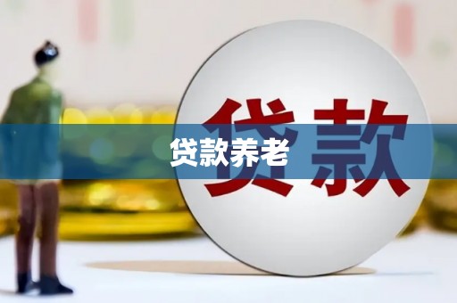 禄丰贷款养老