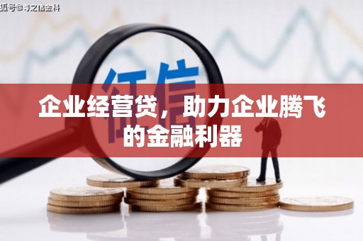 禄丰企业经营贷，助力企业腾飞的金融利器