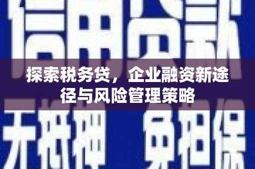 禄丰探索税务贷，企业融资新途径与风险管理策略