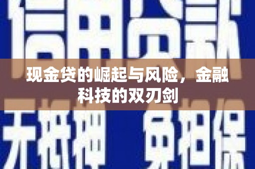 禄丰现金贷的崛起与风险，金融科技的双刃剑
