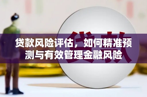 禄丰贷款风险评估，如何精准预测与有效管理金融风险