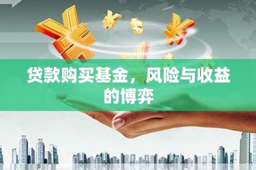 禄丰贷款购买基金，风险与收益的博弈