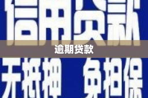 禄丰逾期贷款