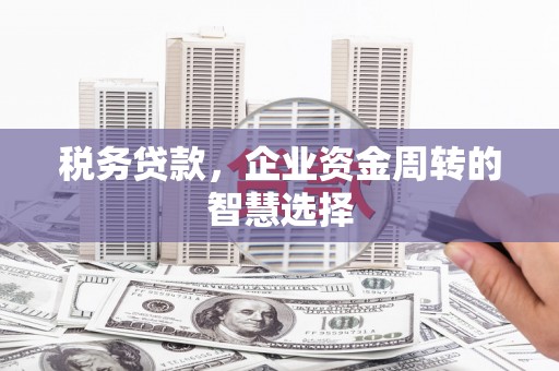 禄丰税务贷款，企业资金周转的智慧选择