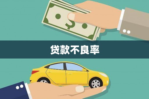 禄丰贷款不良率