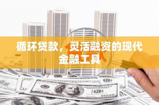 禄丰循环贷款，灵活融资的现代金融工具