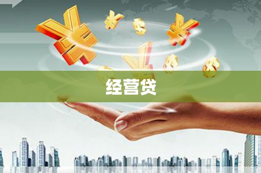禄丰经营贷
