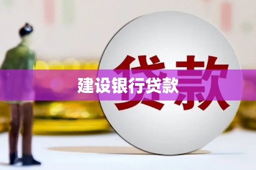 禄丰建设银行贷款