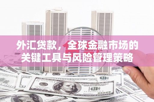 禄丰外汇贷款，全球金融市场的关键工具与风险管理策略