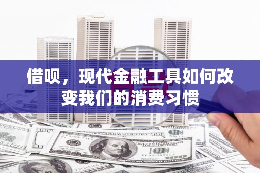 禄丰借呗，现代金融工具如何改变我们的消费习惯