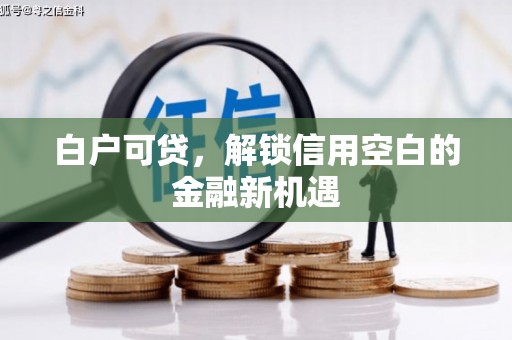 禄丰白户可贷，解锁信用空白的金融新机遇