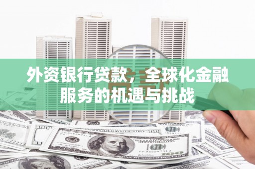 禄丰外资银行贷款，全球化金融服务的机遇与挑战