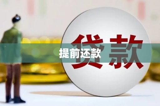 禄丰提前还款