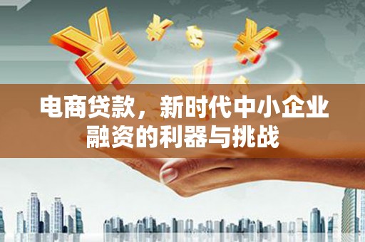 禄丰电商贷款，新时代中小企业融资的利器与挑战