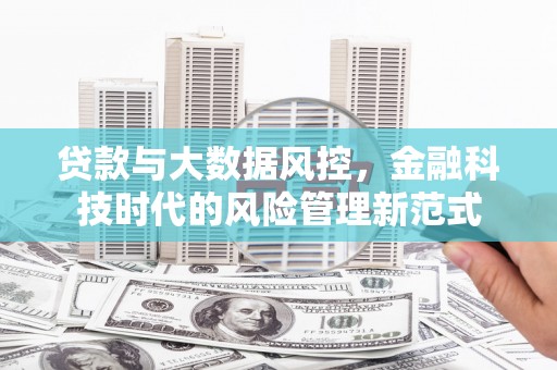 禄丰贷款与大数据风控，金融科技时代的风险管理新范式