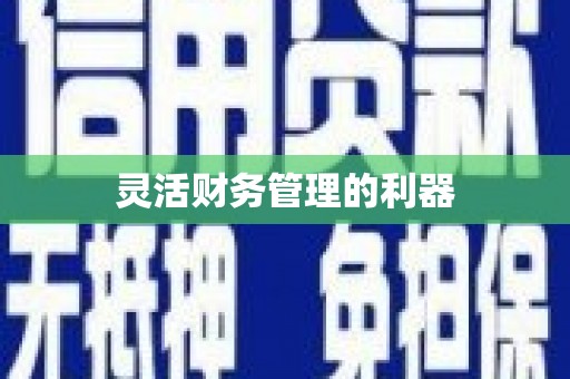禄丰灵活财务管理的利器