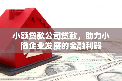 禄丰小额贷款公司贷款，助力小微企业发展的金融利器