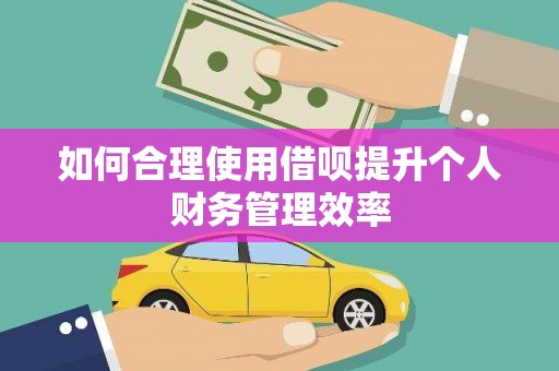 禄丰如何合理使用借呗提升个人财务管理效率