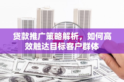 禄丰贷款推广策略解析，如何高效触达目标客户群体