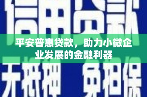 禄丰平安普惠贷款，助力小微企业发展的金融利器