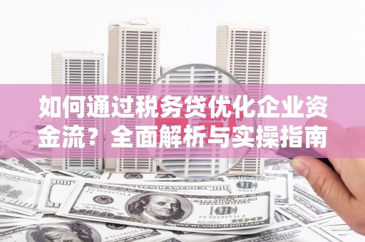 禄丰如何通过税务贷优化企业资金流？全面解析与实操指南