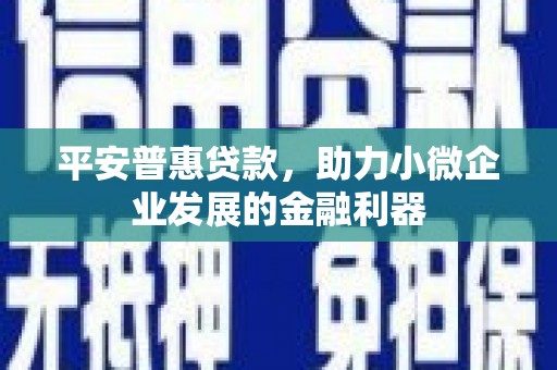 禄丰平安普惠贷款，助力小微企业发展的金融利器