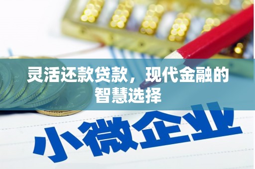 禄丰灵活还款贷款，现代金融的智慧选择