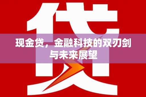 禄丰现金贷，金融科技的双刃剑与未来展望