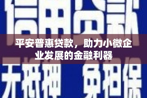 禄丰平安普惠贷款，助力小微企业发展的金融利器