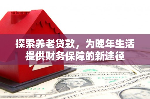 禄丰探索养老贷款，为晚年生活提供财务保障的新途径