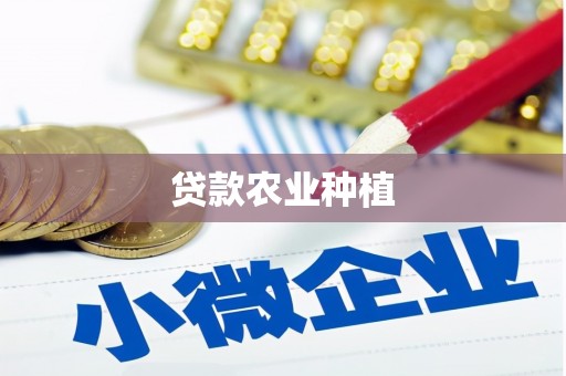 禄丰贷款农业种植
