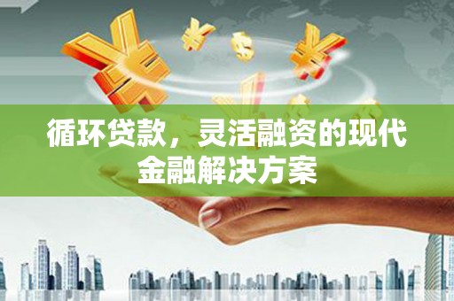 禄丰循环贷款，灵活融资的现代金融解决方案