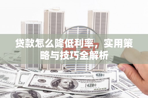 禄丰贷款怎么降低利率，实用策略与技巧全解析