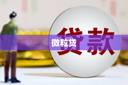 禄丰微粒贷