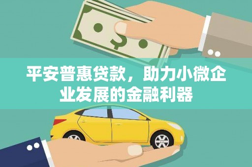 禄丰平安普惠贷款，助力小微企业发展的金融利器