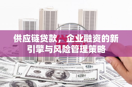 禄丰供应链贷款，企业融资的新引擎与风险管理策略