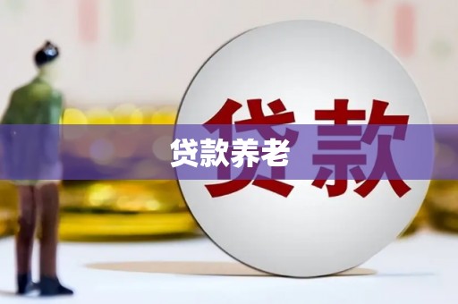 禄丰贷款养老