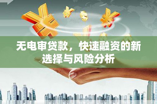 禄丰无电审贷款，快速融资的新选择与风险分析