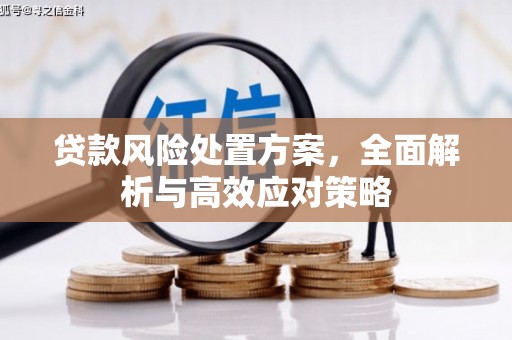 禄丰贷款风险处置方案，全面解析与高效应对策略