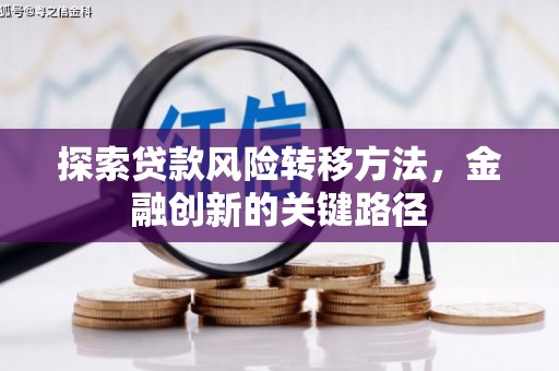 禄丰探索贷款风险转移方法，金融创新的关键路径