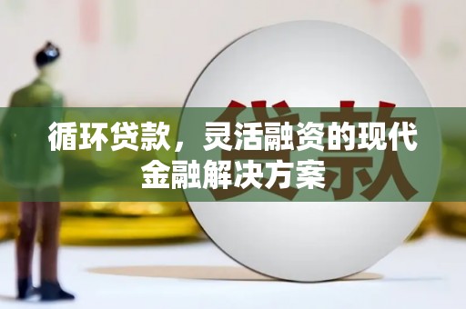 禄丰循环贷款，灵活融资的现代金融解决方案