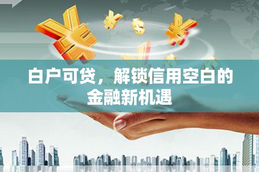 禄丰白户可贷，解锁信用空白的金融新机遇