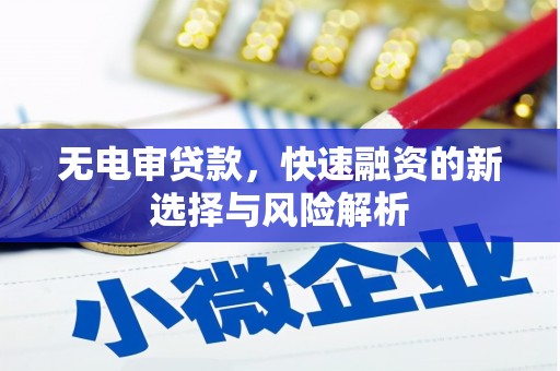 禄丰无电审贷款，快速融资的新选择与风险解析
