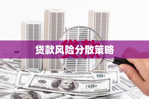 禄丰贷款风险分散策略