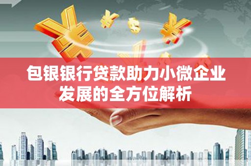 禄丰包银银行贷款助力小微企业发展的全方位解析
