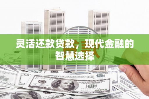 禄丰灵活还款贷款，现代金融的智慧选择
