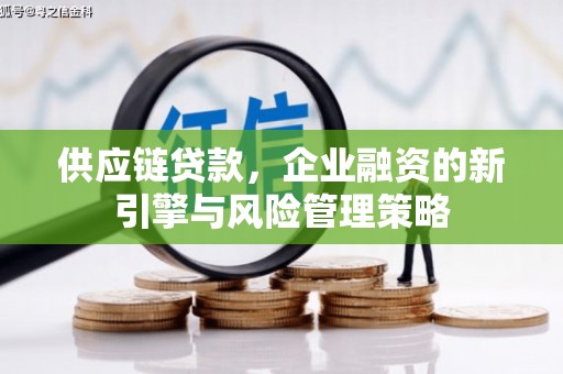 禄丰供应链贷款，企业融资的新引擎与风险管理策略