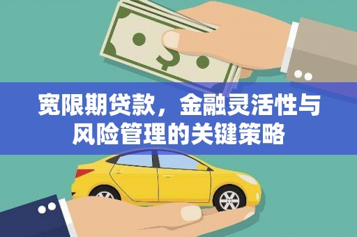 禄丰宽限期贷款，金融灵活性与风险管理的关键策略